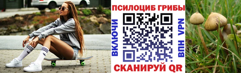 где купить   Шацк  Псилоцибиновые грибы мицелий 